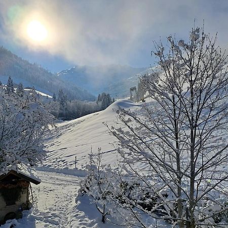 Ferienwohnungen Lehenhof Alpbach Esterno foto