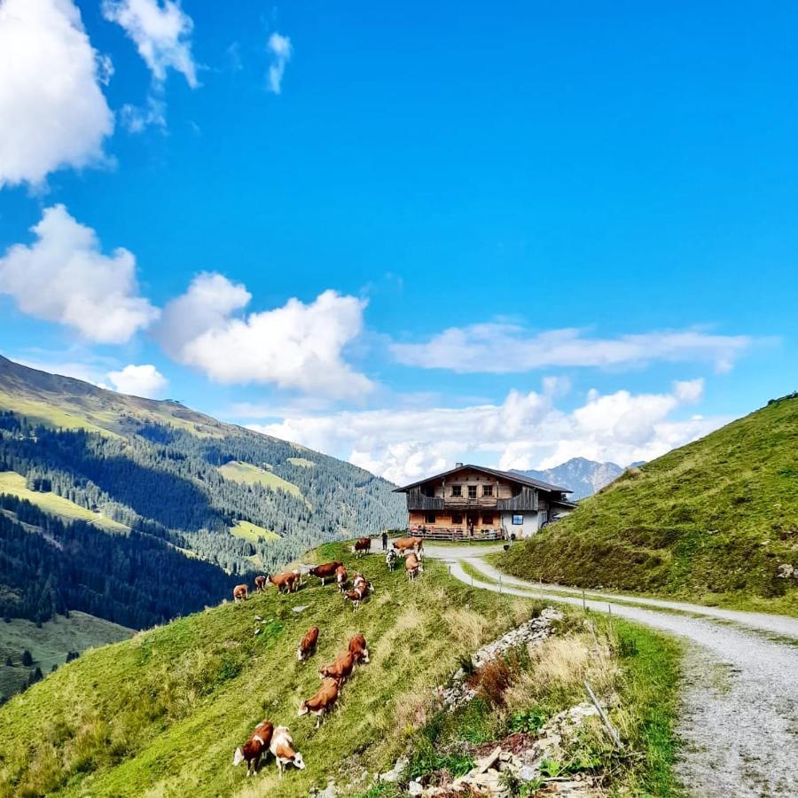 Ferienwohnungen Lehenhof Alpbach Esterno foto