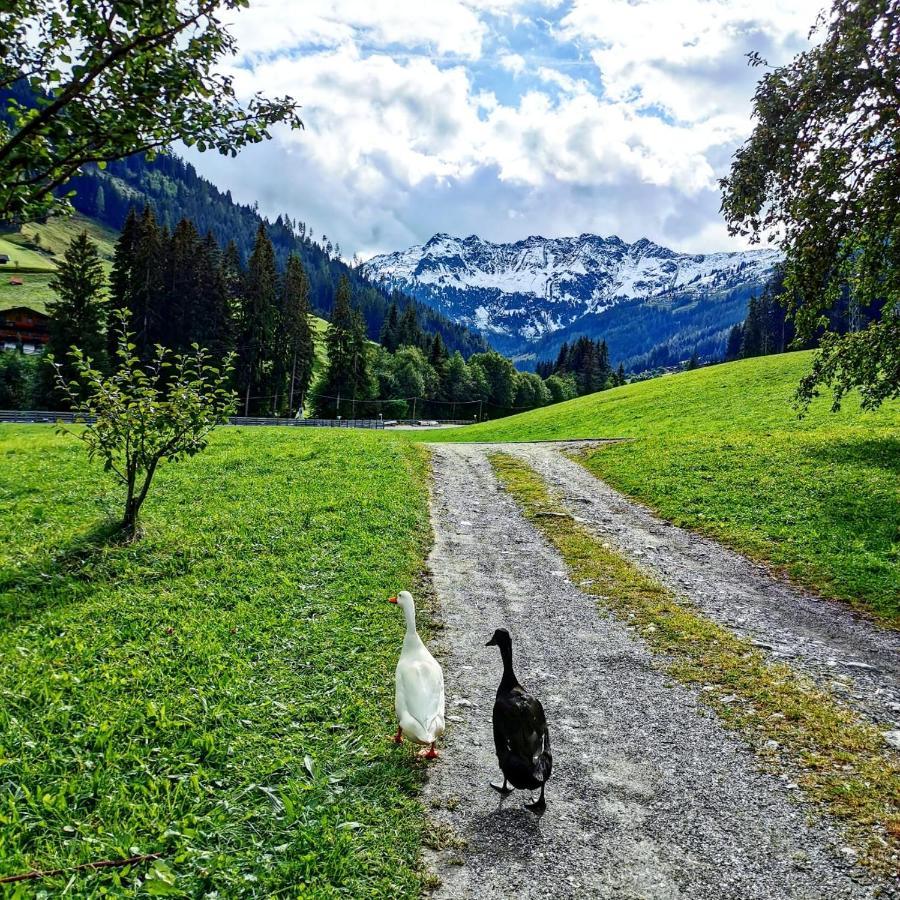 Ferienwohnungen Lehenhof Alpbach Esterno foto