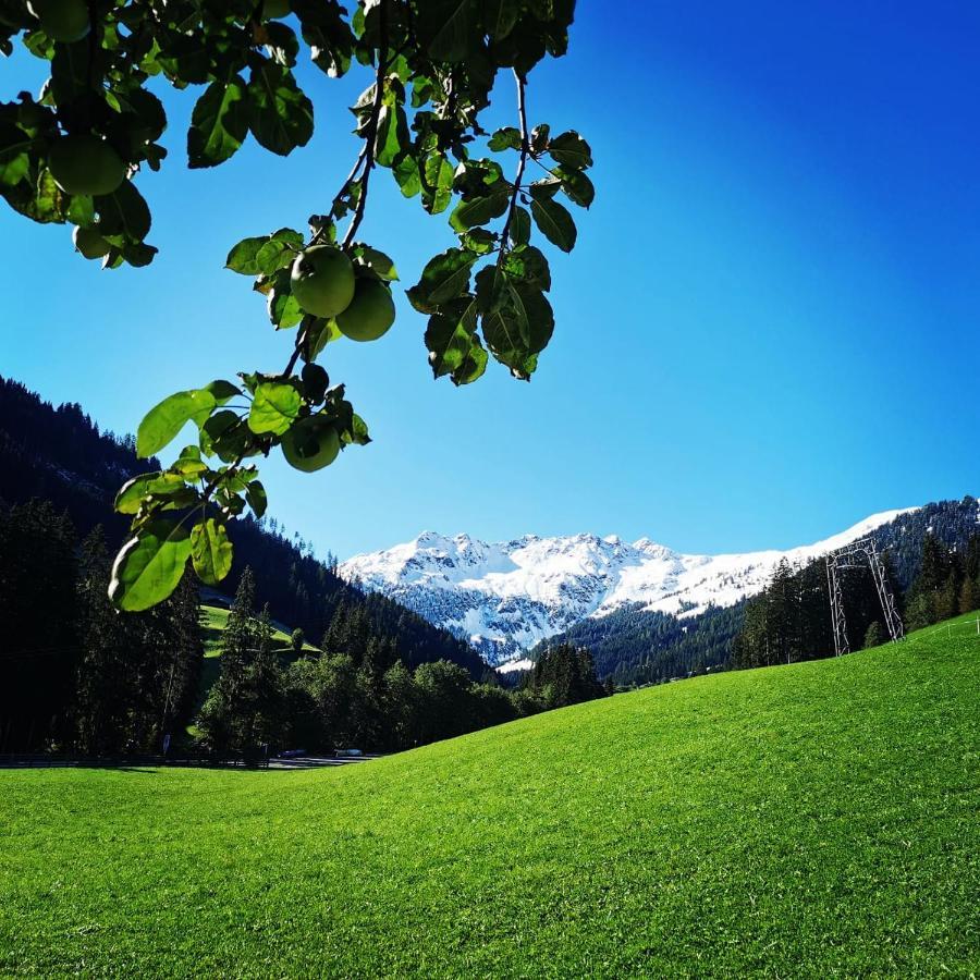 Ferienwohnungen Lehenhof Alpbach Esterno foto