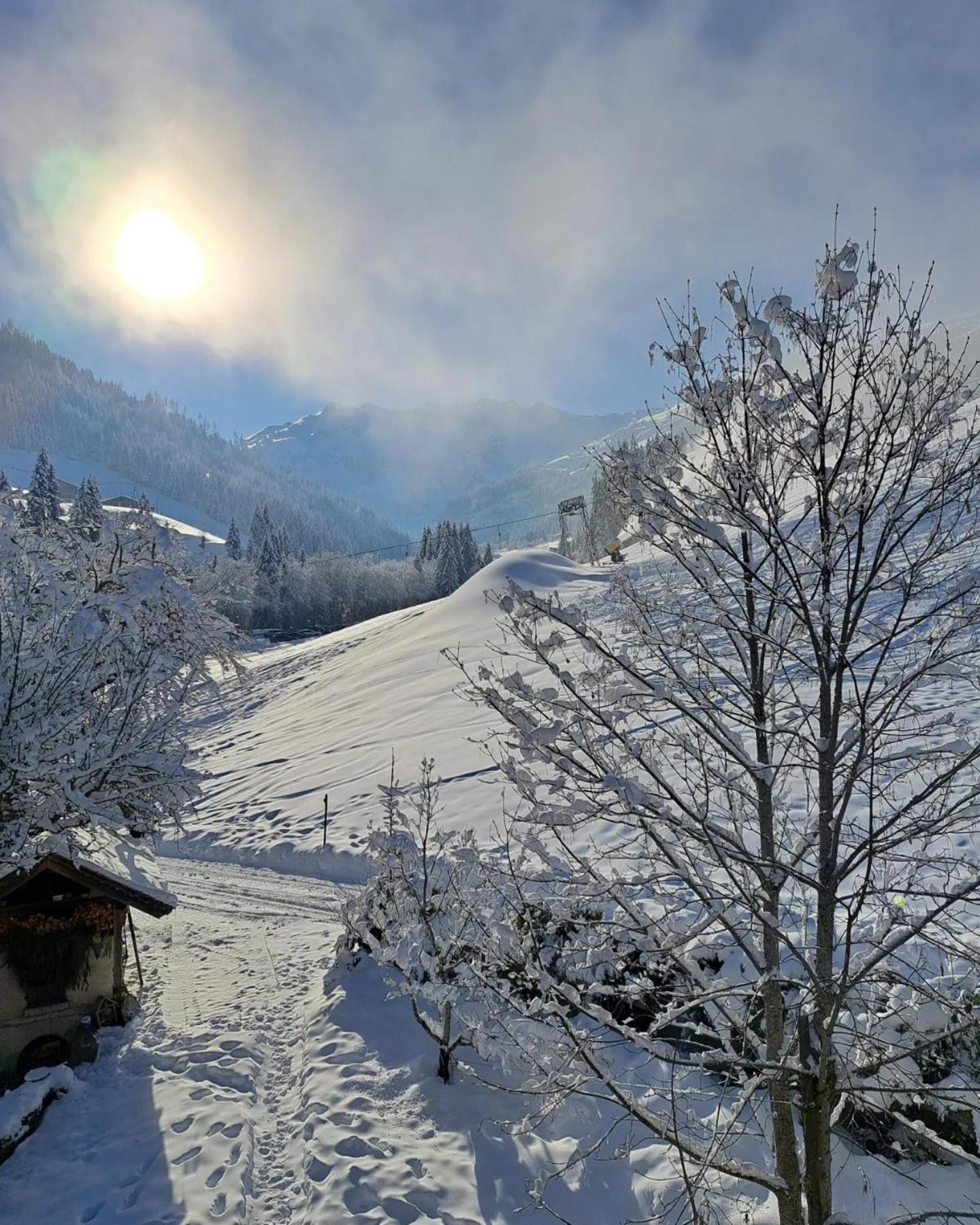 Ferienwohnungen Lehenhof Alpbach Esterno foto